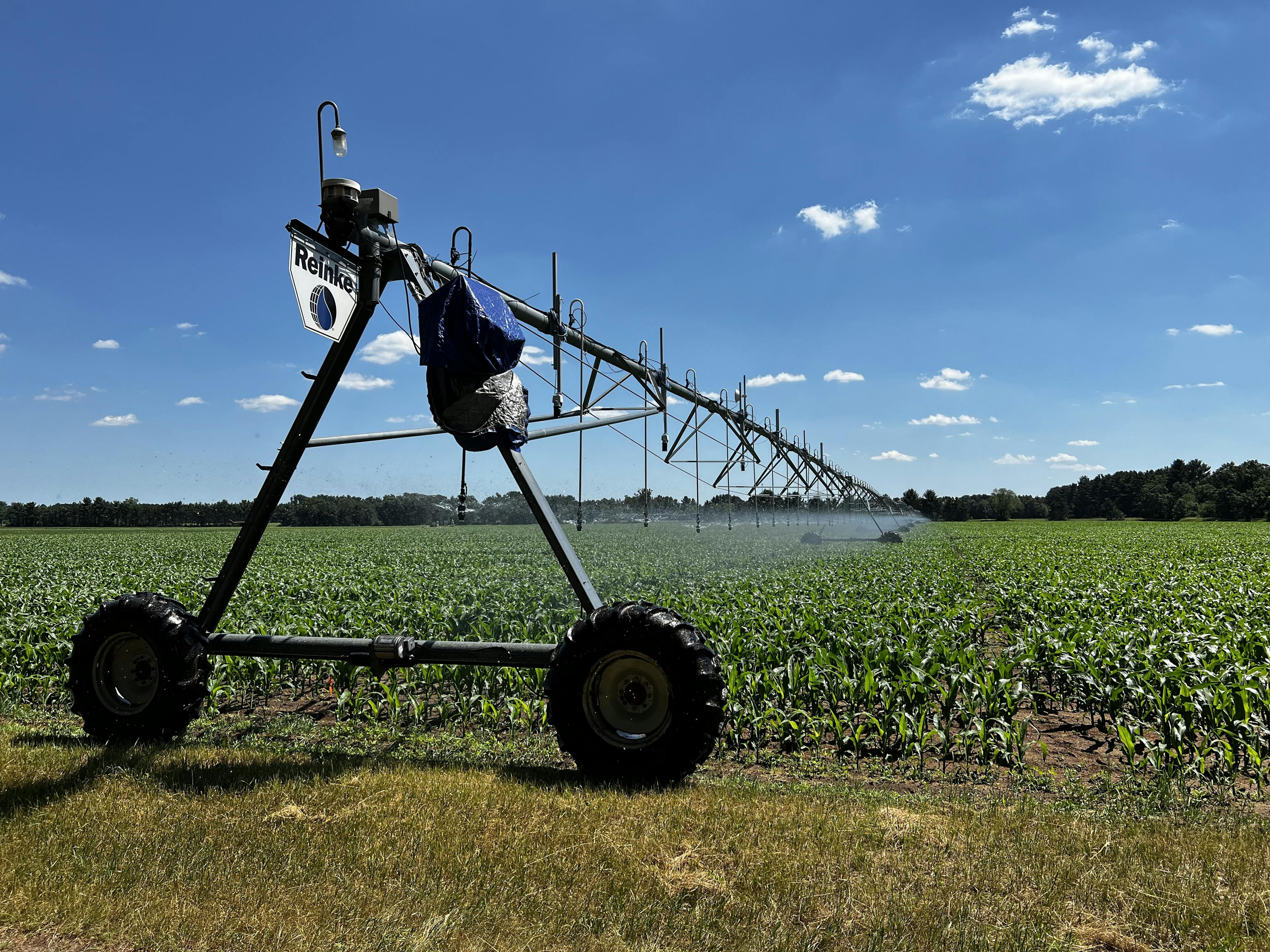 Picture of an linear irrigation system